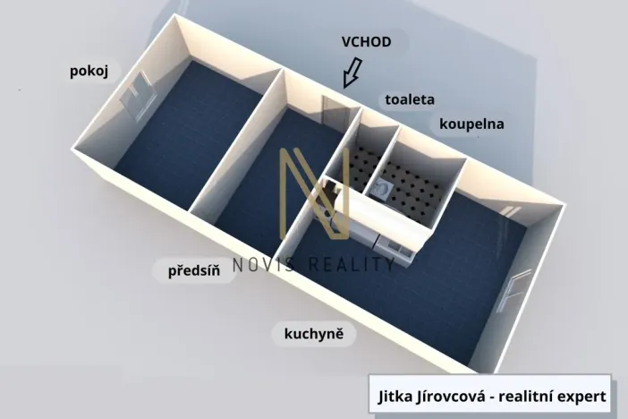 Pronájem bytu 1+1, Domažlice, Švabinského, 42 m2