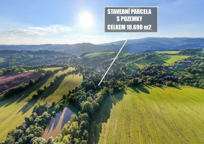 Prodej pozemku pro bydlení, Zlatá Olešnice, 10690 m2