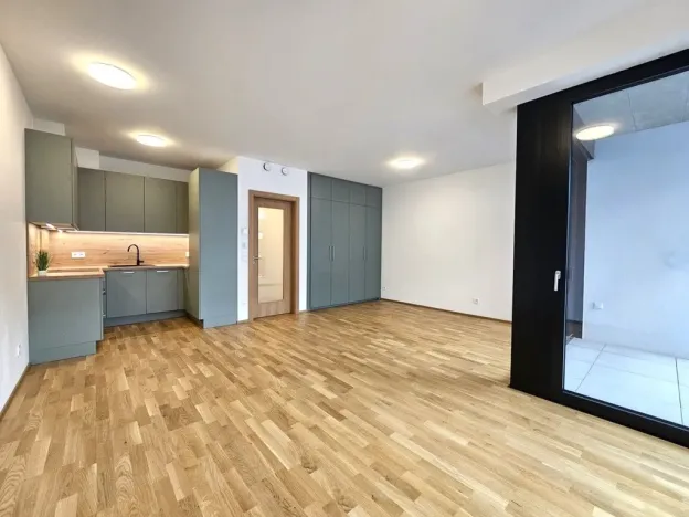 Pronájem bytu 1+kk, Praha, Hartigova, 53 m2