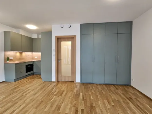 Pronájem bytu 1+kk, Praha, Hartigova, 53 m2