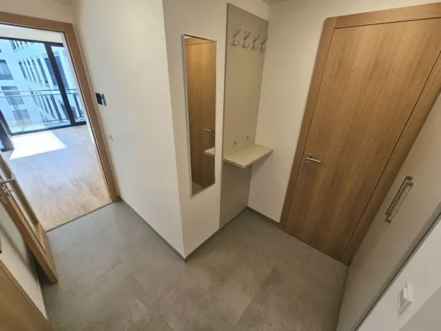 Pronájem bytu 1+kk, Praha, Hartigova, 53 m2