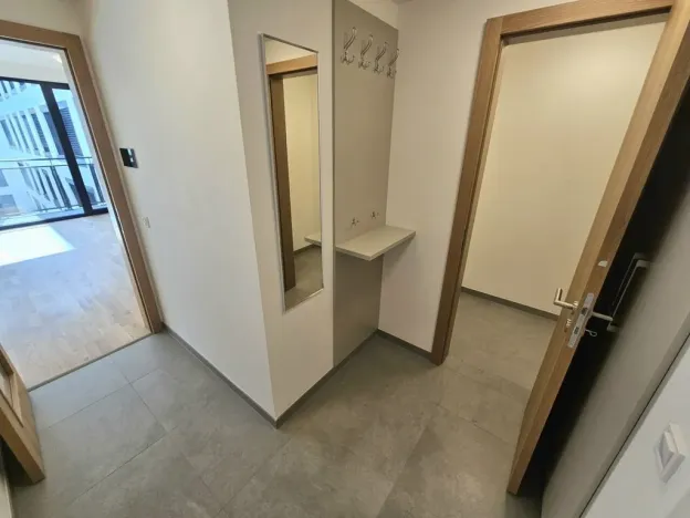 Pronájem bytu 1+kk, Praha, Hartigova, 53 m2