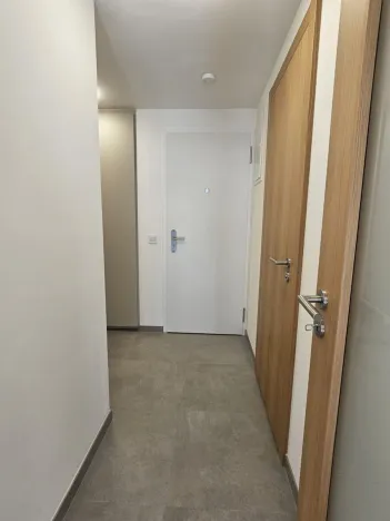 Pronájem bytu 1+kk, Praha, Hartigova, 53 m2