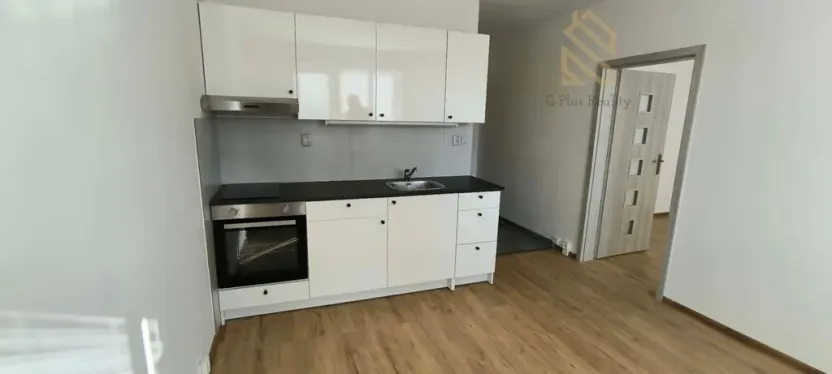 Pronájem bytu 1+1, Louny, Petra Obrovce, 35 m2