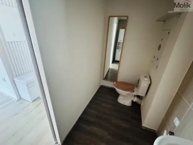 Pronájem bytu 1+1, Litvínov - Horní Litvínov, Ruská, 30 m2