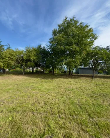Prodej pozemku pro bydlení, Horní Police - Podlesí, 744 m2