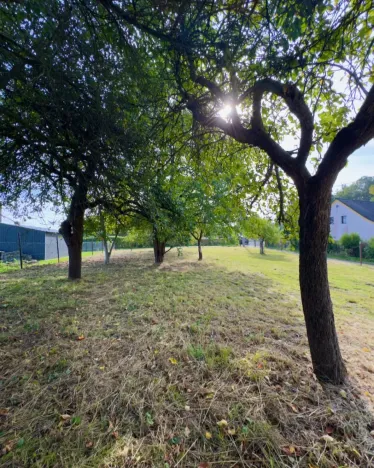 Prodej pozemku pro bydlení, Horní Police - Podlesí, 744 m2