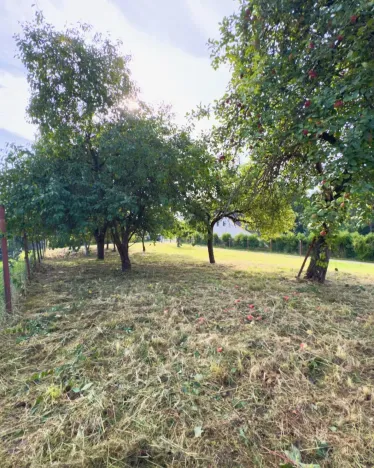 Prodej pozemku pro bydlení, Horní Police - Podlesí, 744 m2