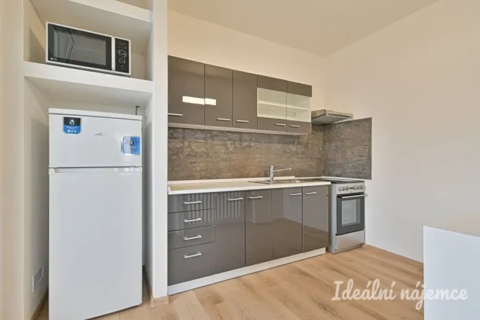 Pronájem bytu 3+1, Brno - Štýřice, Pšeník, 68 m2