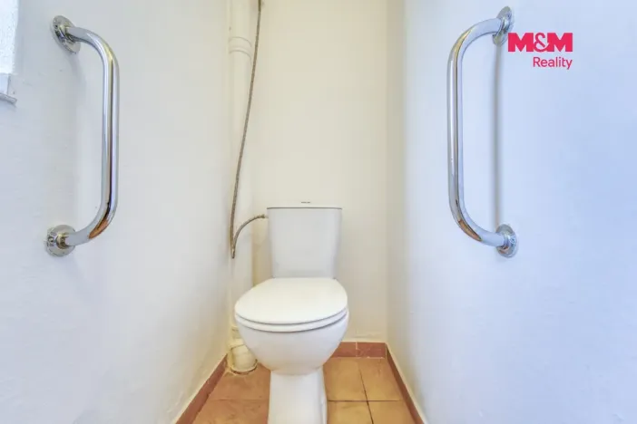 Pronájem rodinného domu, Dlažov, 223 m2
