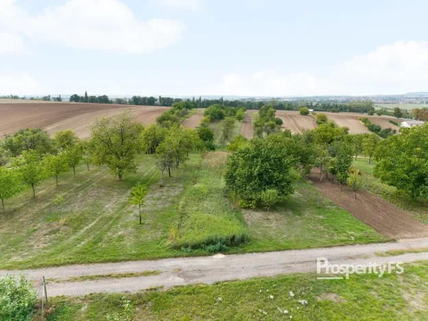Prodej zahrady, Prace, 832 m2