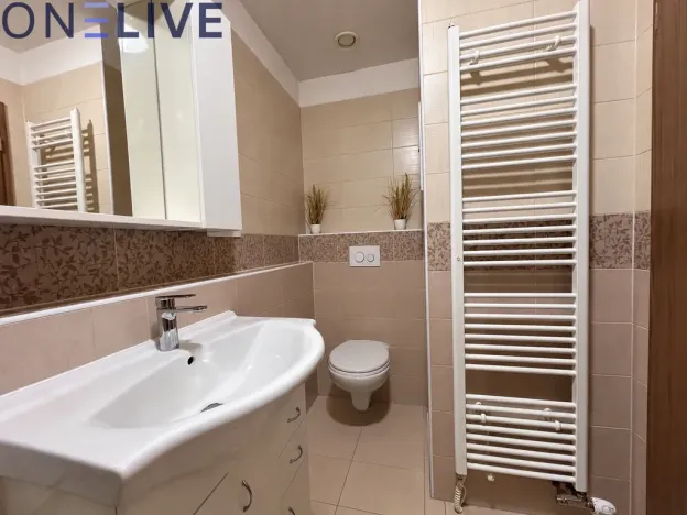 Pronájem bytu 2+kk, Plzeň - Bolevec, 51 m2