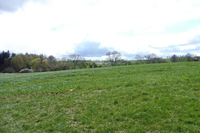 Dražba pozemku, Chotýšany, 15282 m2