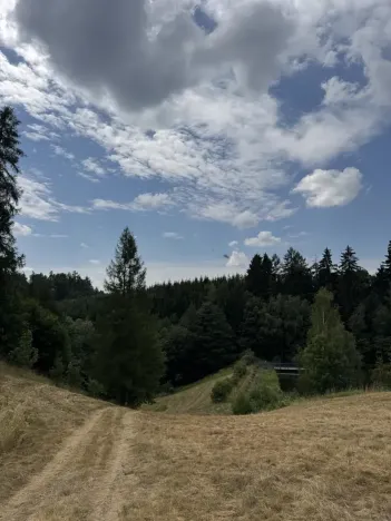 Prodej lesa, Jedlí, 10342 m2