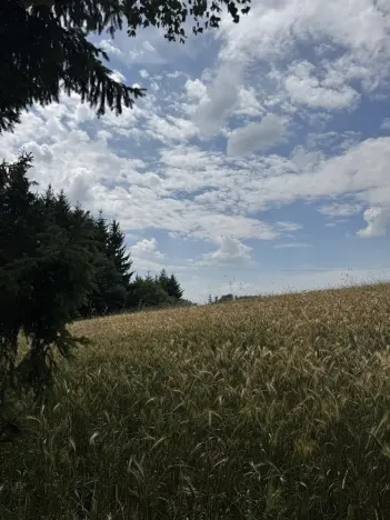 Prodej pole, Jedlí, 8401 m2