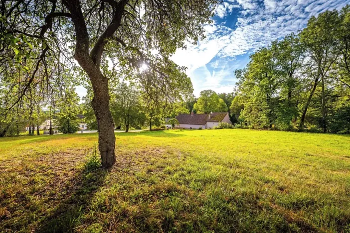 Prodej pozemku pro bydlení, Čestice, 4931 m2