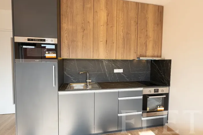 Pronájem bytu 1+kk, Praha - Holešovice, V háji, 34 m2