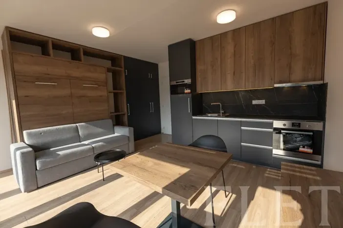 Pronájem bytu 1+kk, Praha - Holešovice, V háji, 34 m2