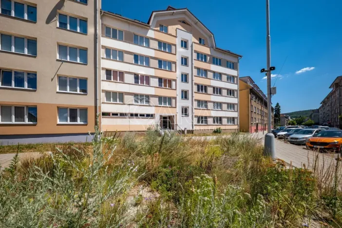 Prodej bytu 2+1, Strakonice - Strakonice II, Bezděkovská, 42 m2