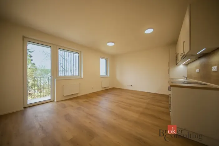 Pronájem bytu 1+kk, Rychnov u Jablonce nad Nisou, Mlýnská, 38 m2