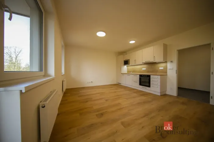 Pronájem bytu 1+kk, Rychnov u Jablonce nad Nisou, Mlýnská, 38 m2