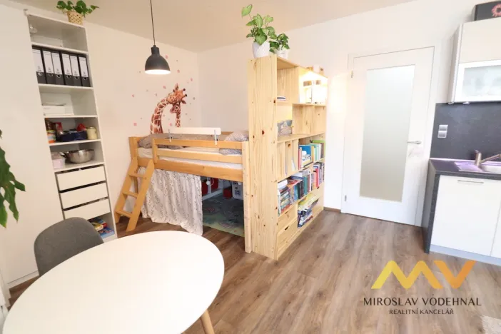 Pronájem bytu 1+kk, Hradec Králové - Pražské Předměstí, Václavkova, 32 m2