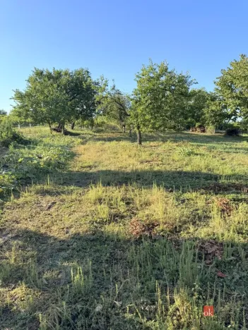 Prodej chaty, Dolní Bojanovice, Hlavní, 46 m2