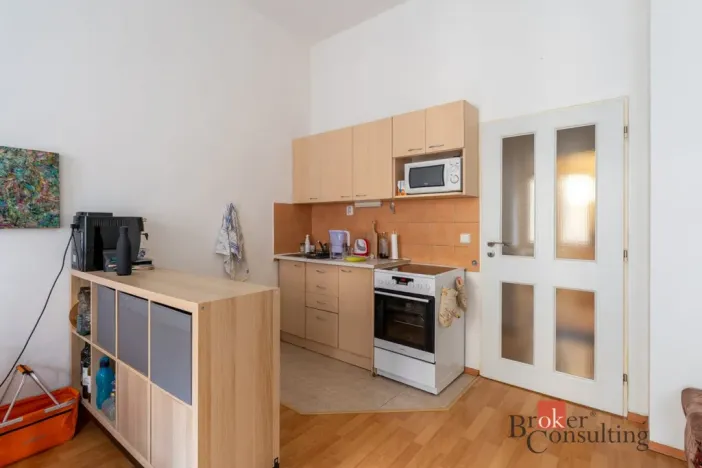 Prodej činžovního domu, Brno - Veveří, Veveří, 999 m2