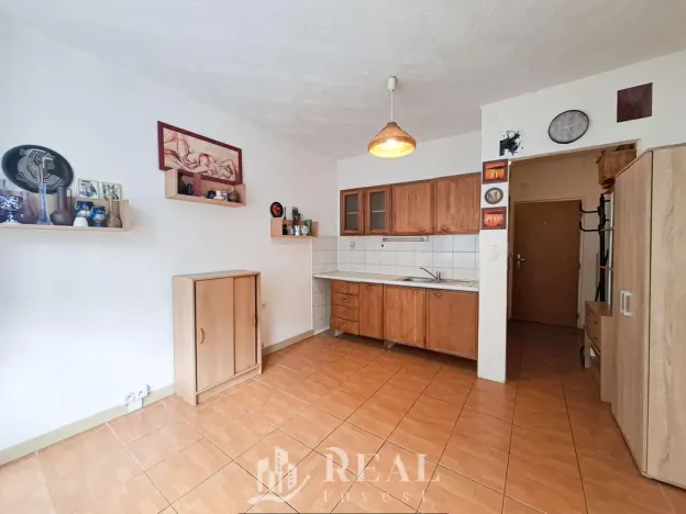 Pronájem bytu 1+kk, Chomutov, Kostnická, 20 m2