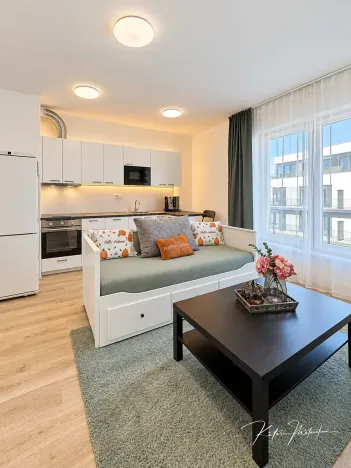 Prodej bytu 1+kk, Plzeň, Železná, 27 m2