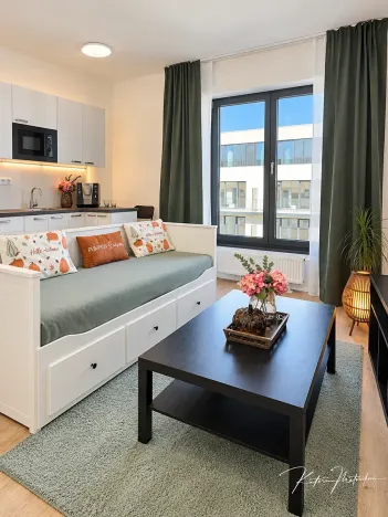 Prodej bytu 1+kk, Plzeň, Železná, 27 m2