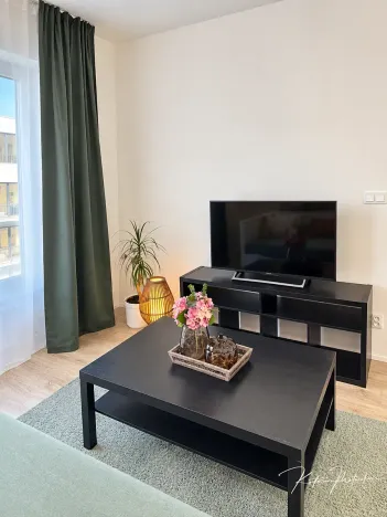 Prodej bytu 1+kk, Plzeň, Železná, 27 m2