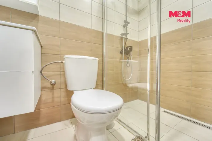 Prodej rodinného domu, Chotěšov, Starý mlýn, 353 m2