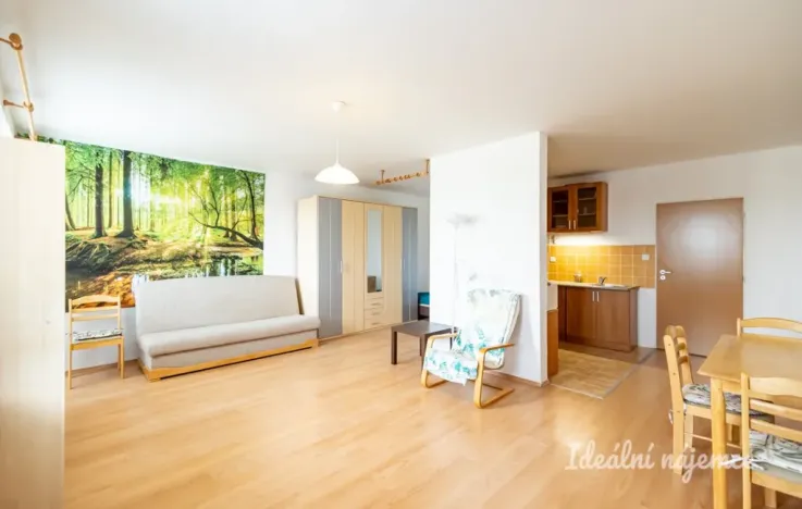 Pronájem bytu 1+kk, Šestajovice, Komenského, 47 m2