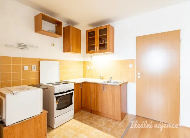 Pronájem bytu 1+kk, Šestajovice, Komenského, 47 m2