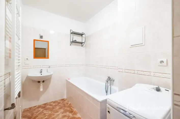 Pronájem bytu 1+kk, Šestajovice, Komenského, 47 m2