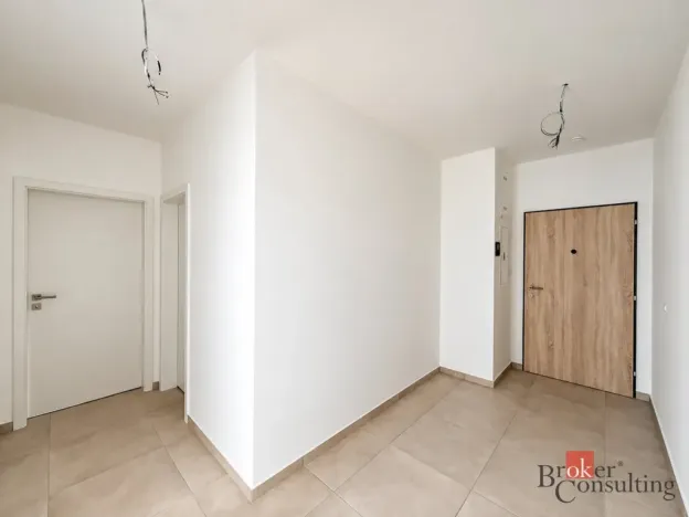 Prodej bytu 2+kk, Plzeň - Jižní Předměstí, Železná, 59 m2