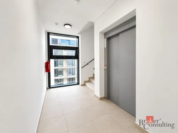 Prodej bytu 2+kk, Plzeň - Jižní Předměstí, Železná, 59 m2