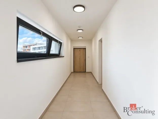 Prodej bytu 2+kk, Plzeň - Jižní Předměstí, Železná, 59 m2