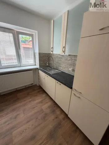 Pronájem rodinného domu, Třebenice, Loucká, 148 m2
