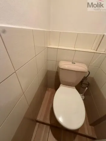 Pronájem rodinného domu, Třebenice, Loucká, 148 m2