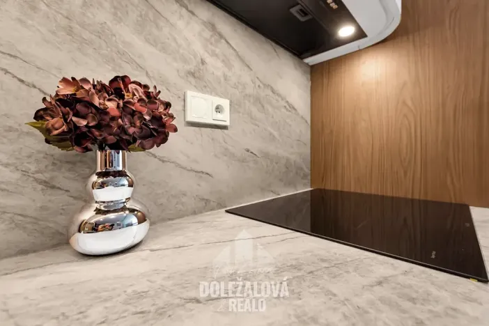 Prodej bytu 2+kk, Praha - Břevnov, Patočkova, 33 m2