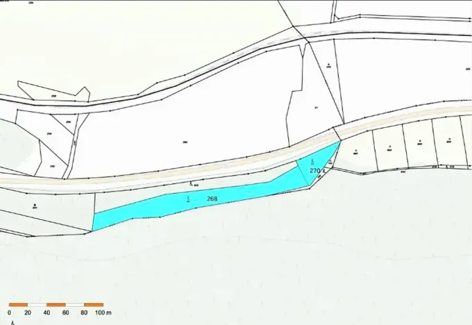 Prodej lesa, Vladislav, 4743 m2