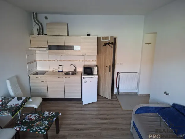 Pronájem bytu 1+kk, Nové Strašecí, Palackého, 25 m2