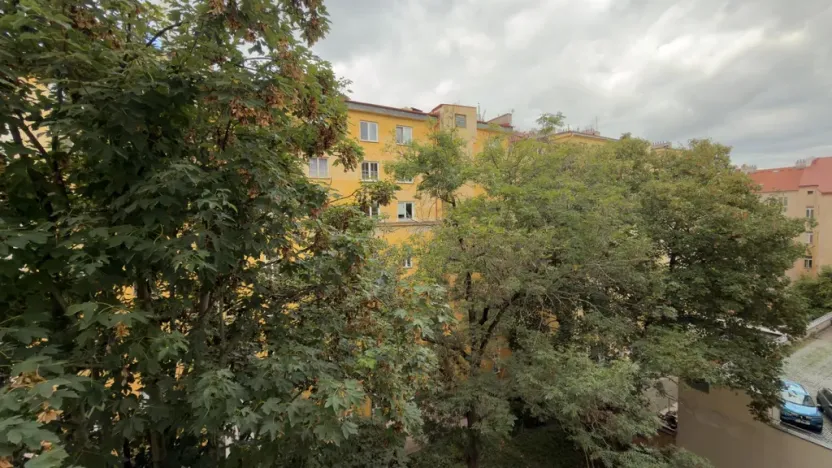 Pronájem kanceláře, Praha - Vinohrady, Lucemburská, 85 m2