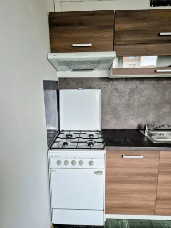 Pronájem bytu 1+1, Děčín - Děčín I-Děčín, Labská, 37 m2