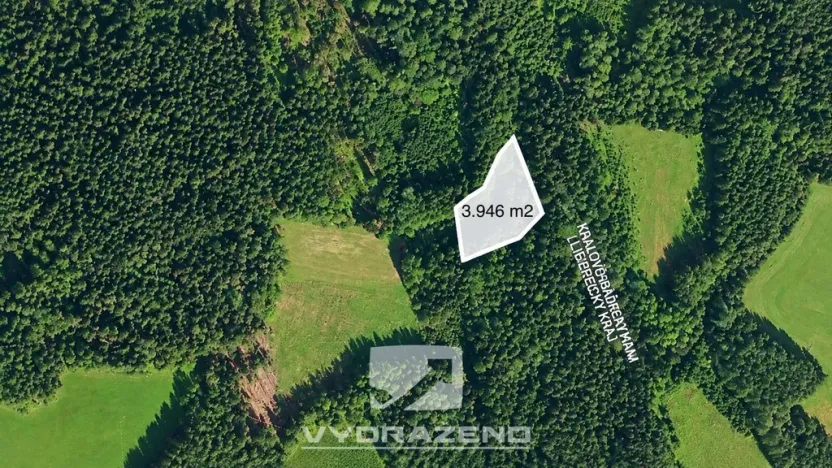 Prodej louky, Levínská Olešnice, 3946 m2