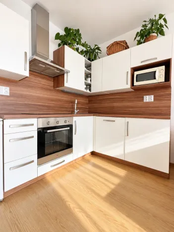 Prodej bytu 2+kk, České Budějovice - České Budějovice 3, Jírovcova, 54 m2