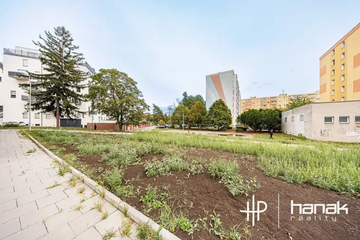 Prodej bytu 3+kk, Olomouc, Eduarda Hamburgera, 62 m2