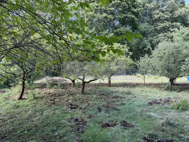 Prodej chaty, Hrobčice, 63 m2